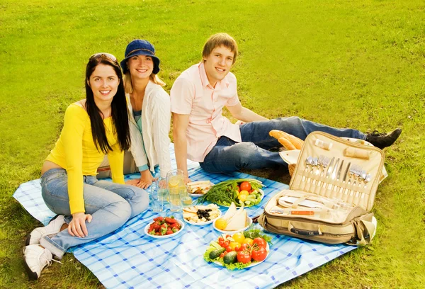 Друзів на пікнік — стокове фото