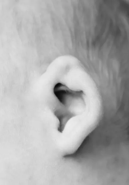 宝宝的耳朵黑白图片 — 图库照片