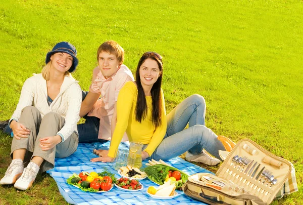 Amici al picnic — Foto Stock