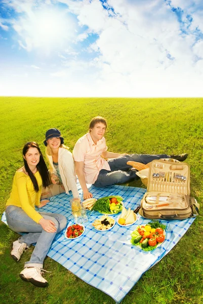 Vrienden bij de picknick — Stockfoto
