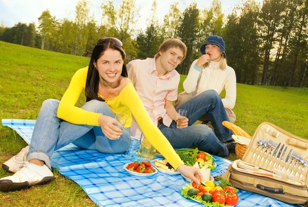 Barátok a pikniken — Stock Fotó