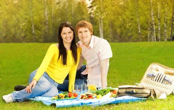 ロマンチックなピクニックに若いカップル — ストック写真