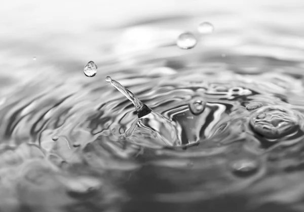 モノクロの水のしぶき — ストック写真