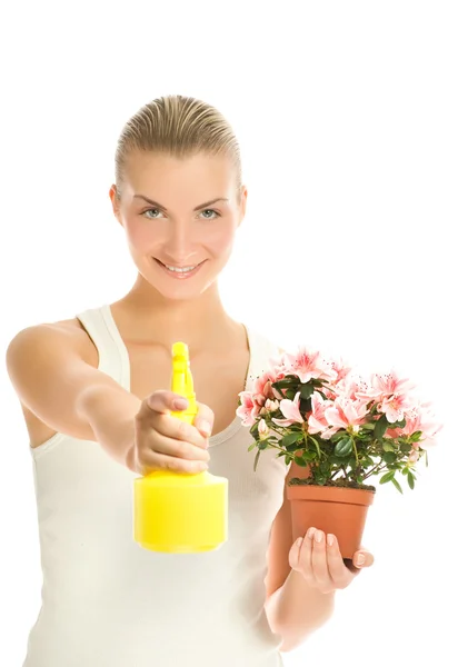 Frumoasă femeie tânără care întreţine floarea. Izolat pe spate alb — Fotografie, imagine de stoc
