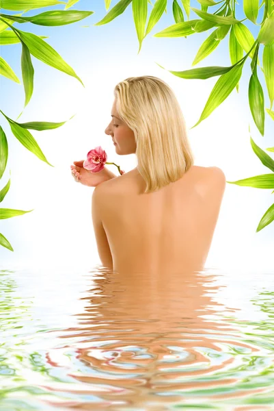 Beautiful young woman with orchid flower reflected in rendered w Stock Picture