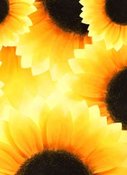 抽象的向日葵背景 — 图库照片