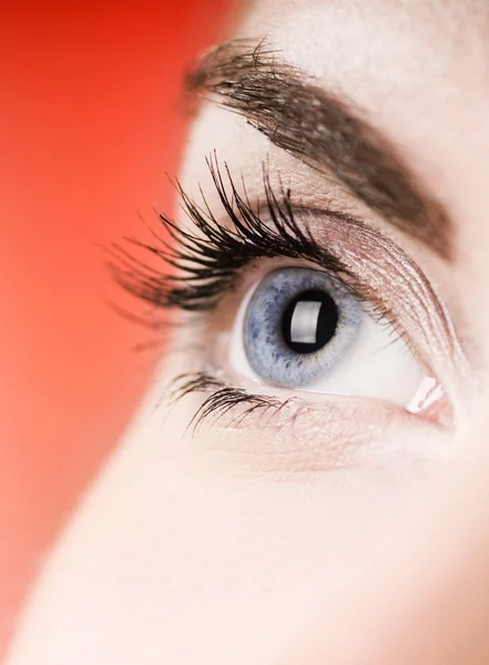 Blaues Auge auf rotem Hintergrund (flacher dof) — Stockfoto