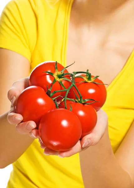 人类手牵鲜熟的西红柿 — 图库照片