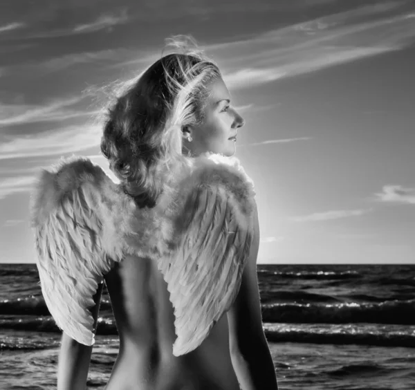 Krásný Anděl Moři Při Západu Slunce — Stock fotografie