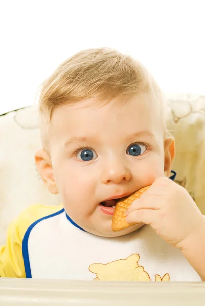 Beautiful baby eating cookie isolated on white background — Stock Photo, Image