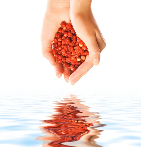 Punhado de pequenas bagas vermelhas refletidas na água processada — Fotografia de Stock