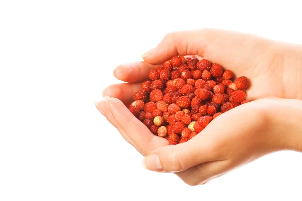 Handvoll Erdbeeren Isoliert Auf Weißem Hintergrund — Stockfoto