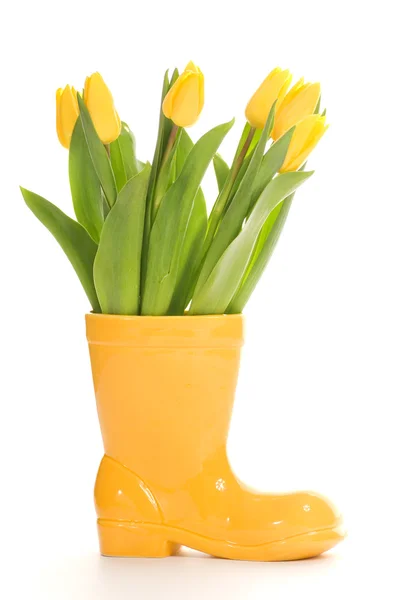 Fresh tulips in yellow vase isolated on white background — Stock Photo, Image