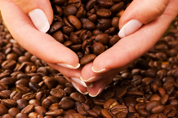 Handful of premium coffee beans — Stock Photo, Image