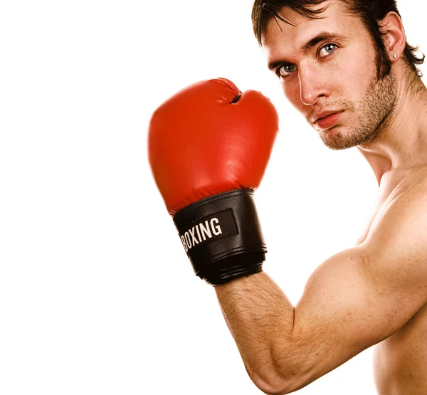 Genç boksör — Stok fotoğraf