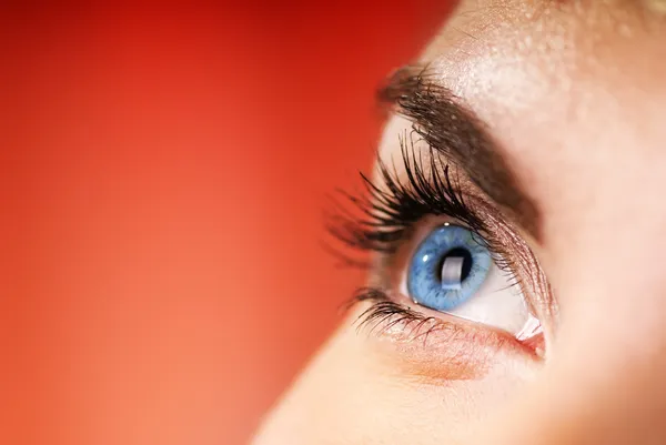 Blaues Auge Auf Rotem Hintergrund Flacher Dof — Stockfoto