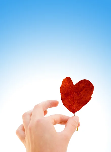 Hand with a heart — Stock Photo, Image