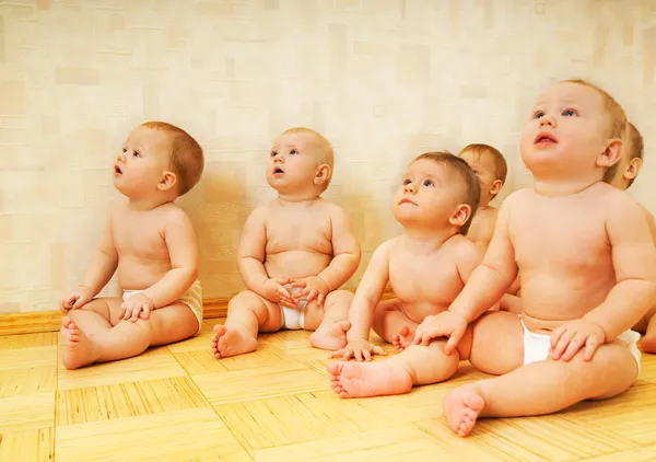 Grupp Bedårande Småbarn Tittar Något — Stockfoto