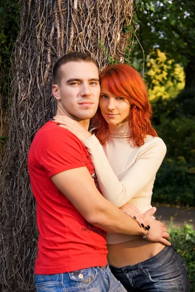 有吸引力对年轻夫妇在一片森林 — Stockfoto