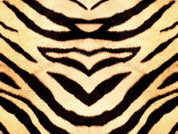 老虎样式织物纹理 — 图库照片