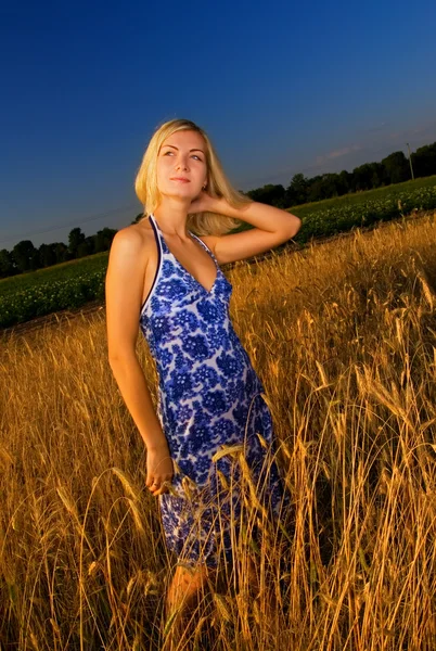 Vacker blond flicka i fältet — Stockfoto
