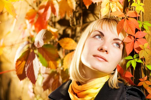 Träumendes Mädchen Auf Herbstlichem Hintergrund — Stockfoto
