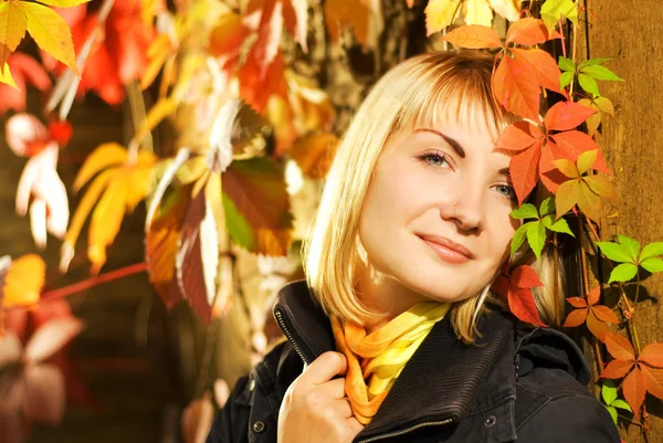 Menina Loira Sexy Fundo Outono — Fotografia de Stock