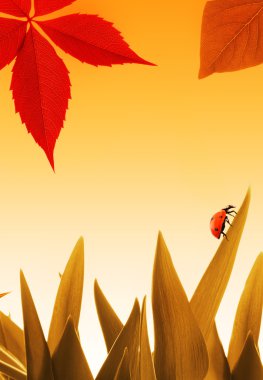 Small ladybug on dry orange grass and colorful autumn leave flying around clipart