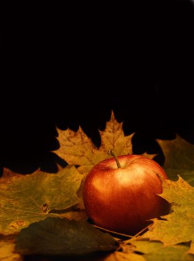 Red apple and maple leaves isolated on black background clipart