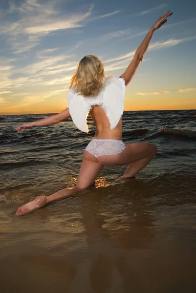 日没時の水で美しい天使 — ストック写真