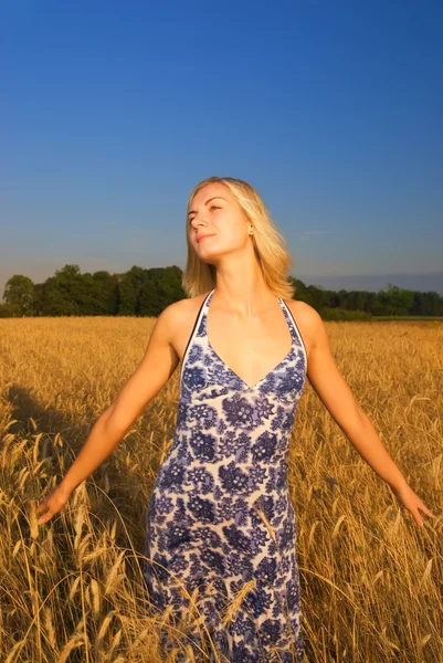 Schönes Mädchen Weizenfeld Bei Sonnenuntergang — Stockfoto