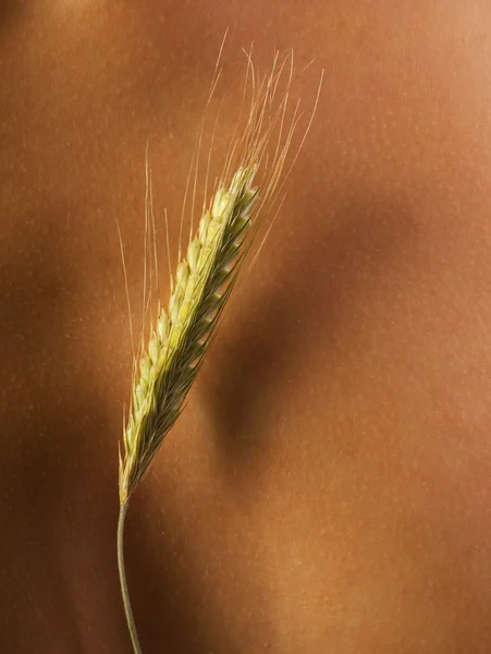 人間の皮膚に小麦 — ストック写真