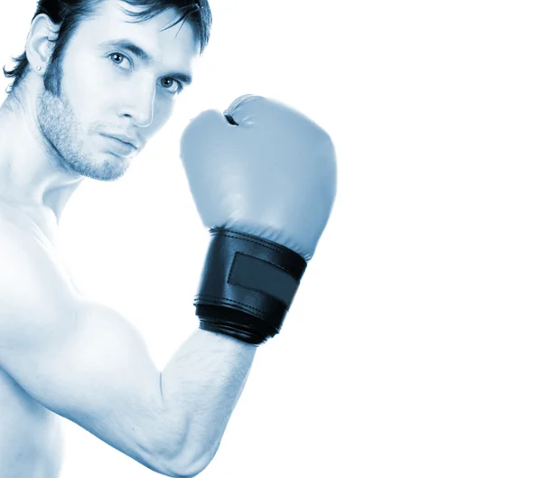 Young boxer isolated on white (toned in blue) — Stock Photo, Image