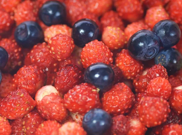 新鲜蓝莓和草莓 — 图库照片