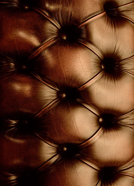 Texture en cuir véritable — Photo