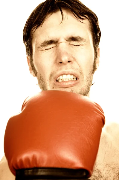 Boxer engraçado — Fotografia de Stock