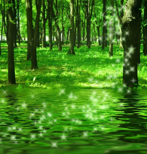 Magie lesa nedaleko řeky — Stock fotografie