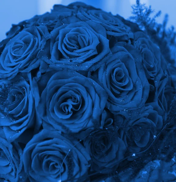 Bunch of red roses (toned in blue) — Stock Photo, Image