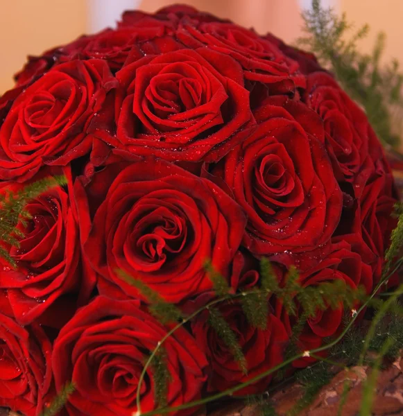 Ένα μάτσο κόκκινα τριαντάφυλλα. — Φωτογραφία Αρχείου
