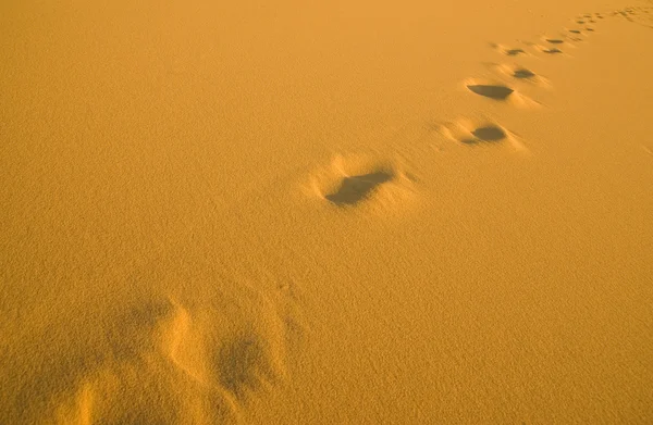 Human footprints on the beach — Stock Photo, Image