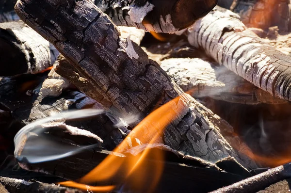 Brann i tørr skog – stockfoto