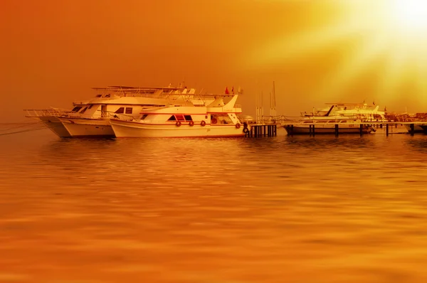 Splendido tramonto su un mare — Foto Stock