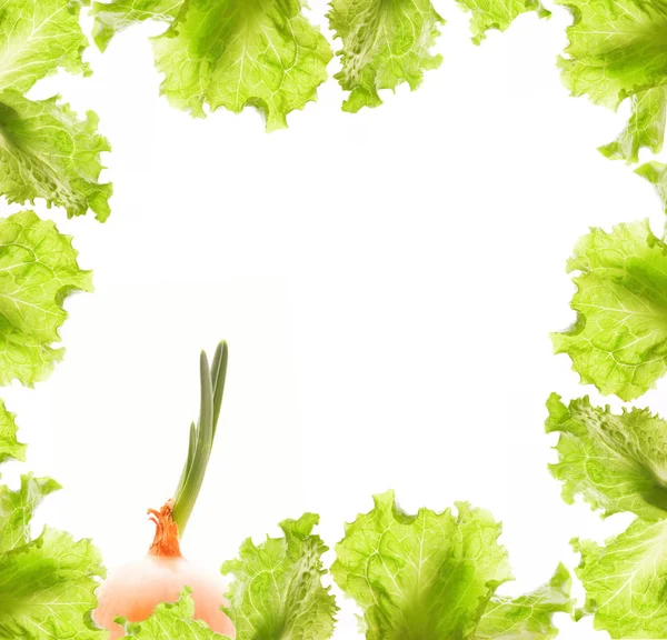 Salat und Zwiebelrand — Stockfoto