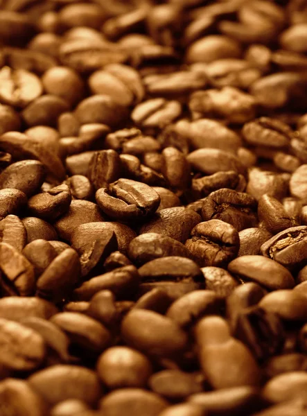 Coffee beans (shallow DOF) — Stock Photo, Image