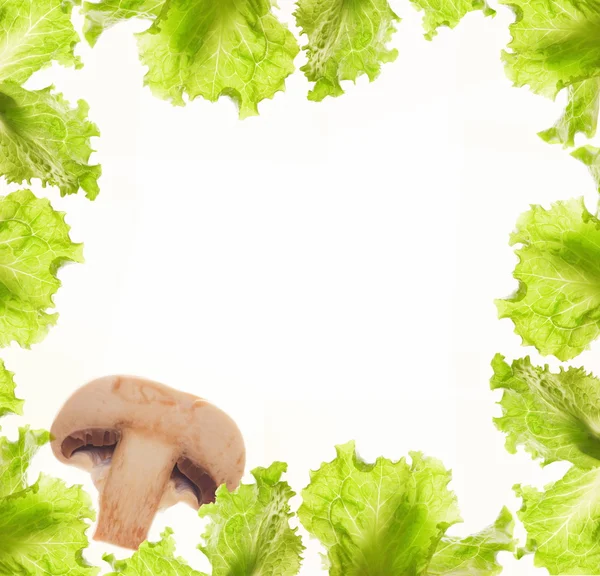 Salade en paddenstoelen grens — Stockfoto
