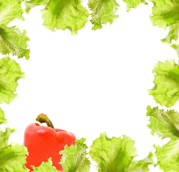 Salat- und Paprika-Rand — Stockfoto