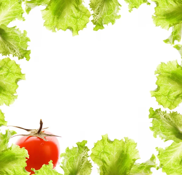 Salad and tomato border — Stock Photo, Image