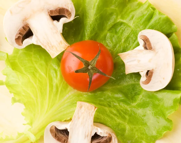 Tomato and moshroom pieces on a green salad leaf — Stock Photo, Image