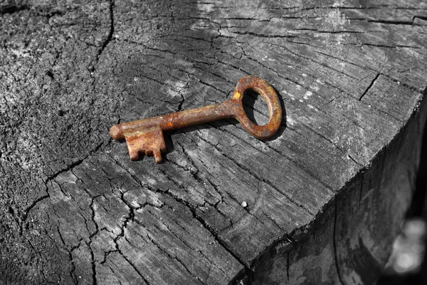 Rusty key on log — Stock Photo, Image