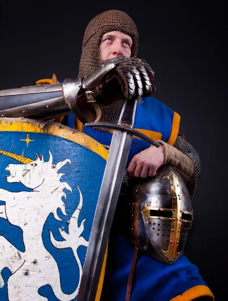 Picture of crusader — Stock Photo, Image